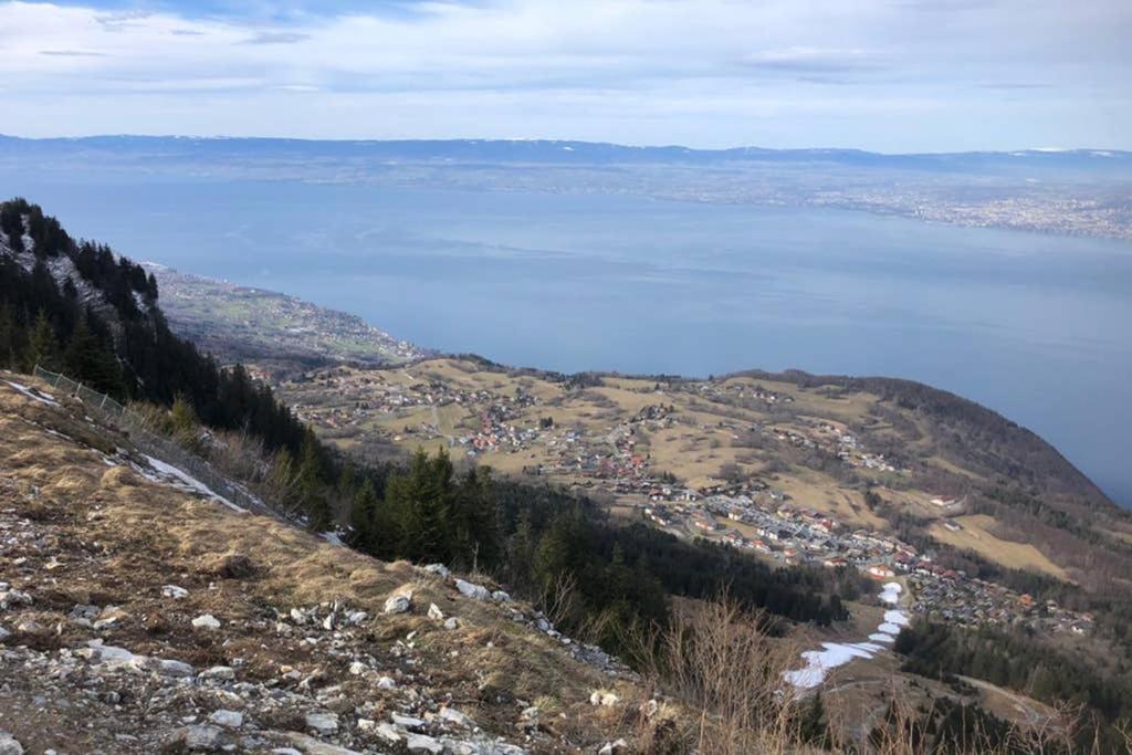 Studio Agreable Et Cosy Avec Vue Sur Les Memises Thollon-les-Memises Luaran gambar