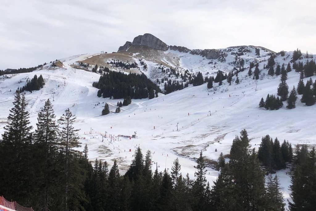 Studio Agreable Et Cosy Avec Vue Sur Les Memises Thollon-les-Memises Luaran gambar
